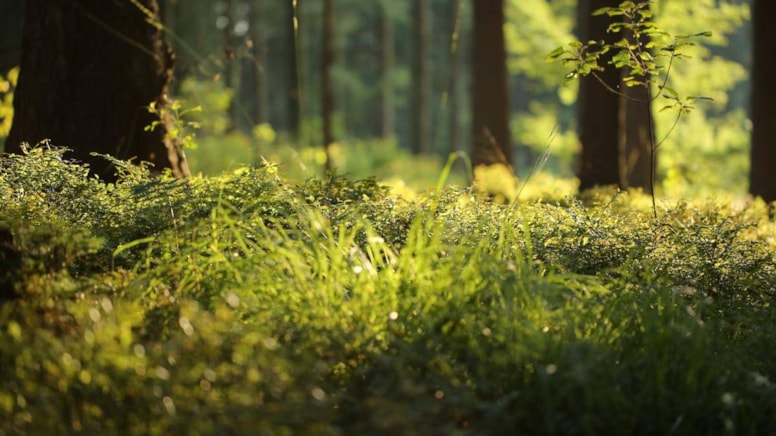 featured-image-19470